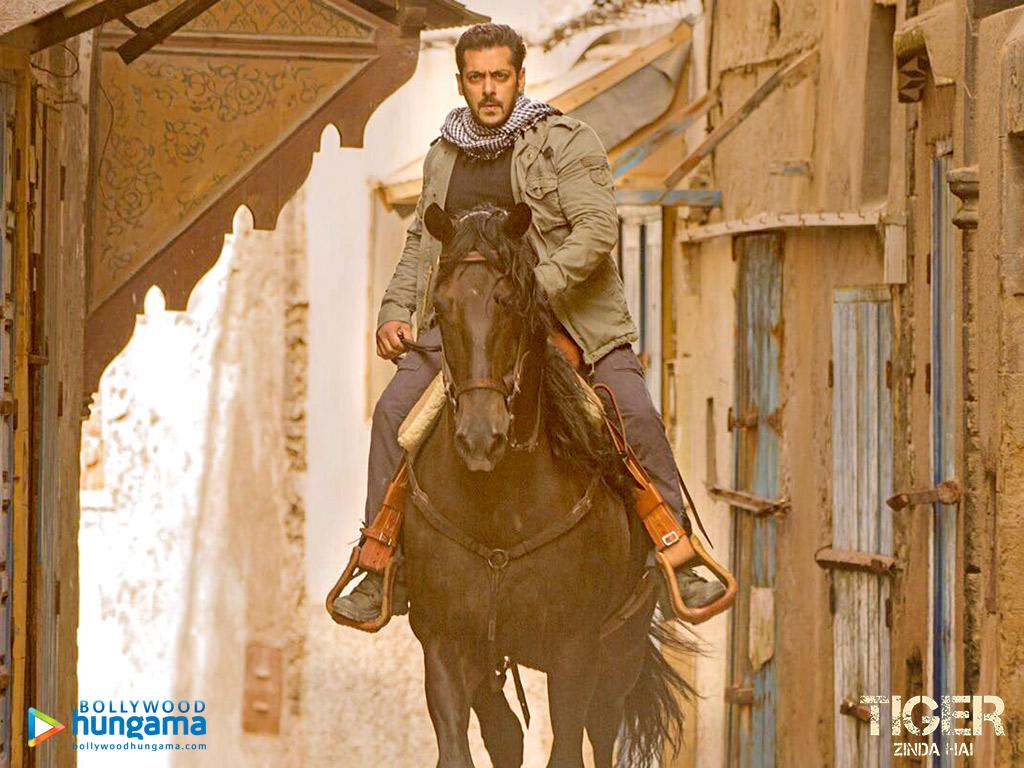 1024x768 Tiger Zinda Hai 2017 Wallpaper. Tiger Zinda Hai 2017 HD Image. Photo Tiger Zinda Hai 62