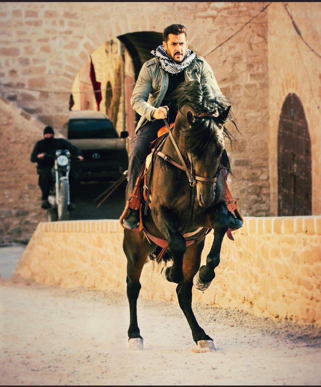 1080x1303 Tiger Zinda Hai HD