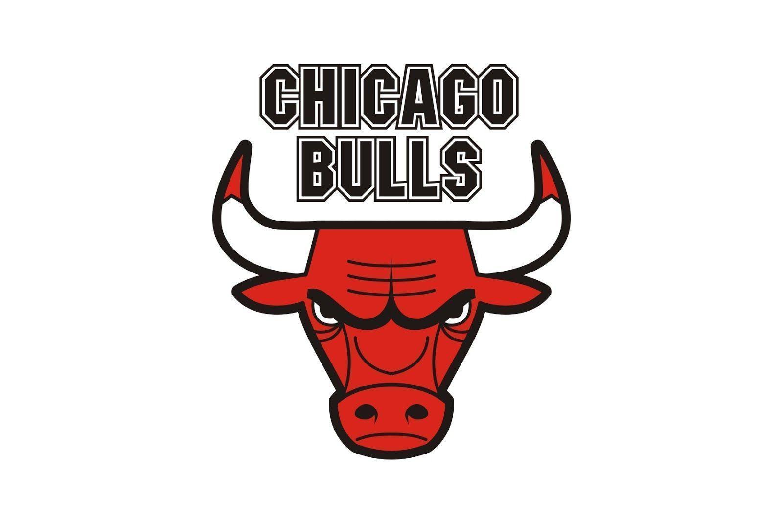 1600x1067 Chicago Bulls Hình nền HD 2016