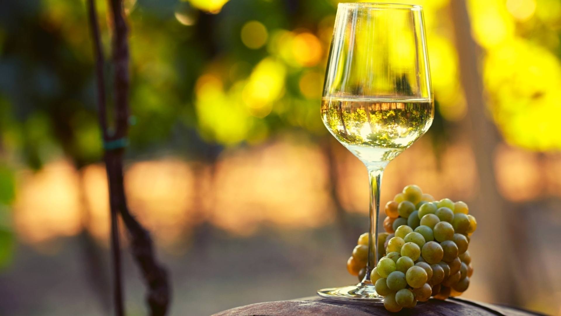 1920x1080 A Primer on Turkish Wine Grapes Two: White Grapes