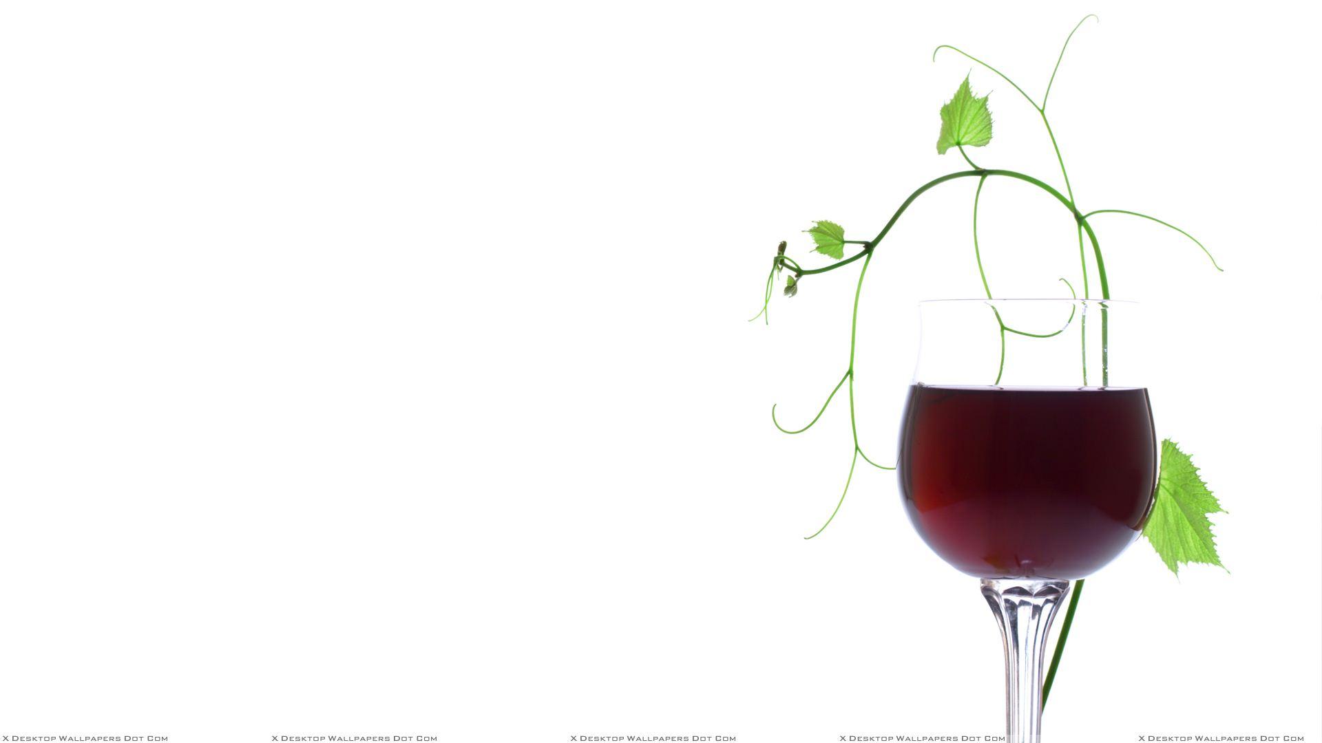 1920x1080 Free download Red And White Wine Wallpaper Red Wine Glass [1920x1080] for your Desktop, Mobile & Tablet. Explore Wine Wallpaper. Wine Wallpaper, Wine Glass Wallpaper, Wine Barrel Wallpaper