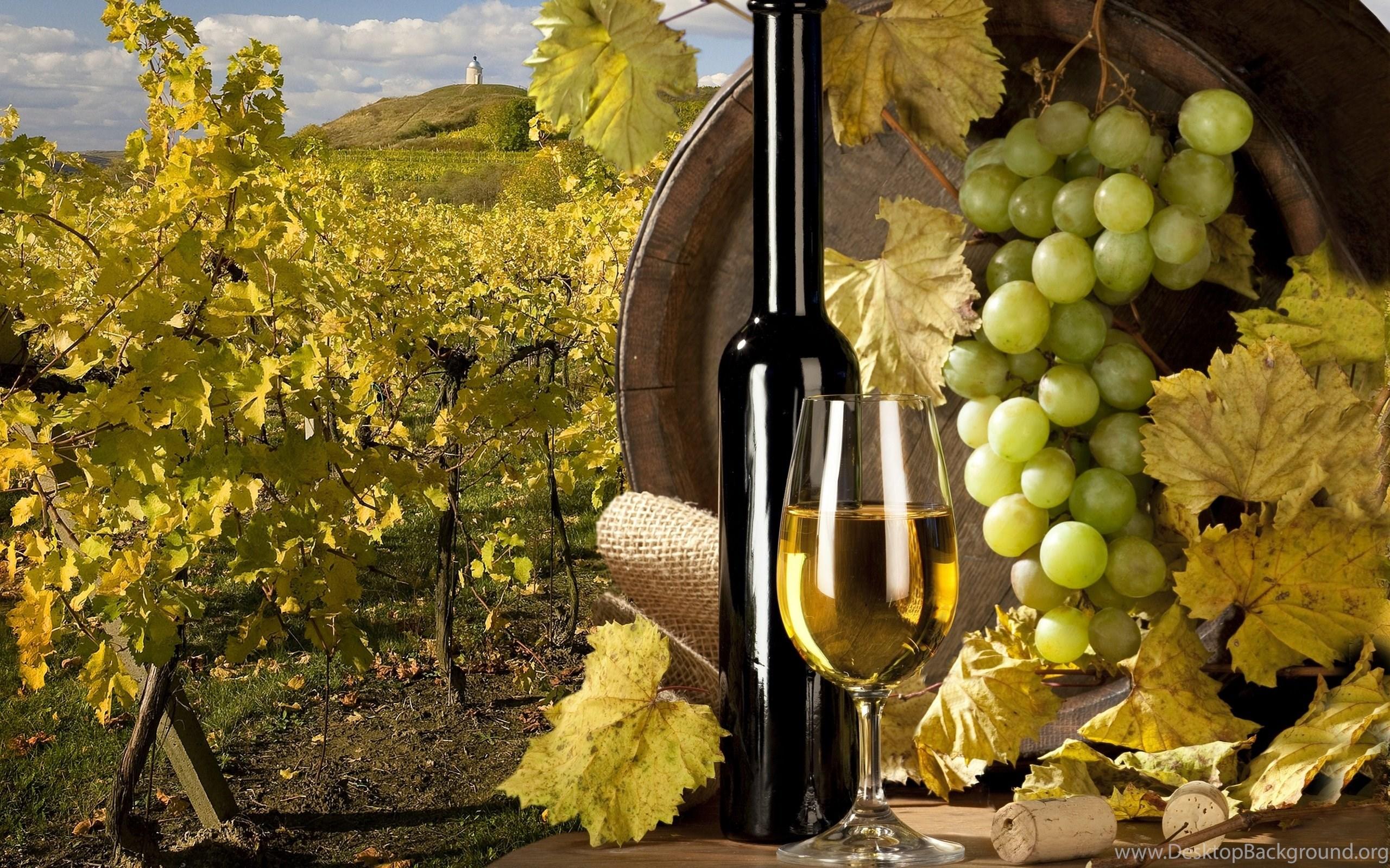 2560x1600 White, Wine, Barrel, Grapes, Vineyard, Tube Wallpaper. Desktop Background