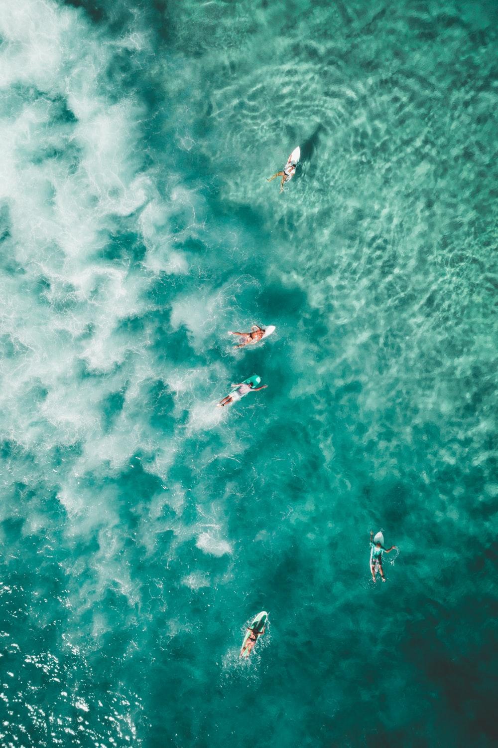 1000x1500 Beautiful Bondi Beach Picture [HD]. Download Free Image