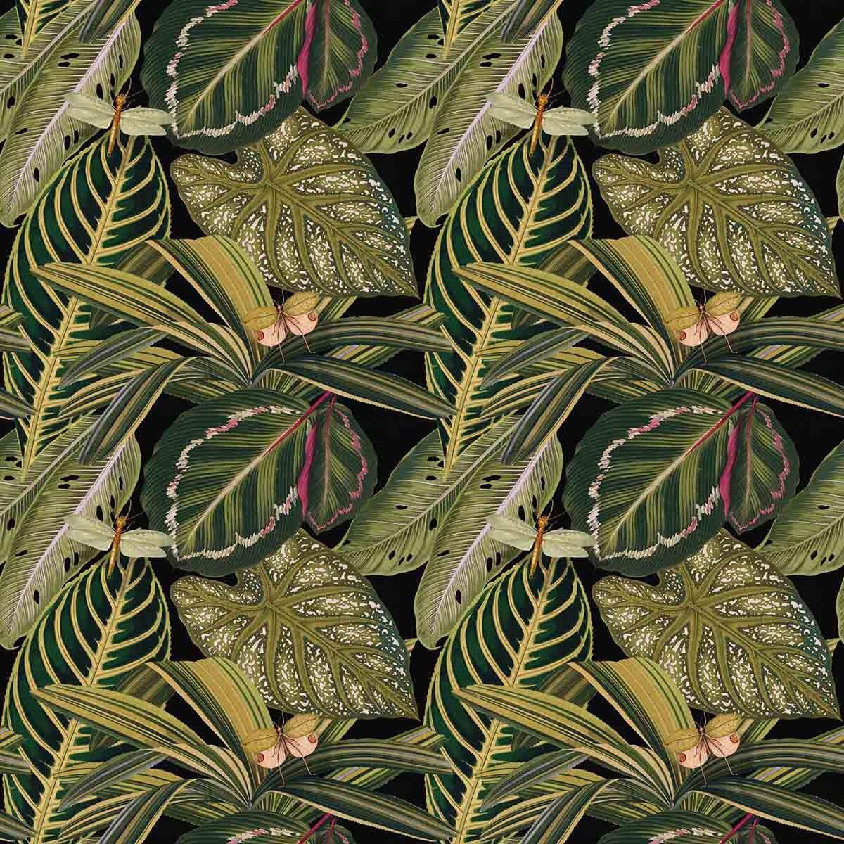 Amazonia Wallpapers - Top Free Amazonia Backgrounds - WallpaperAccess