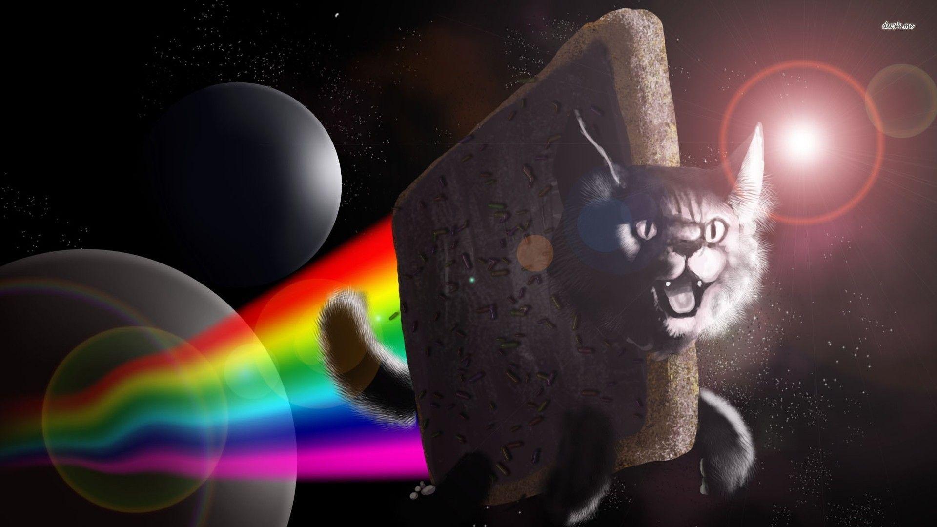 1920x1080 Nyan Cat Humor Wallpaper
