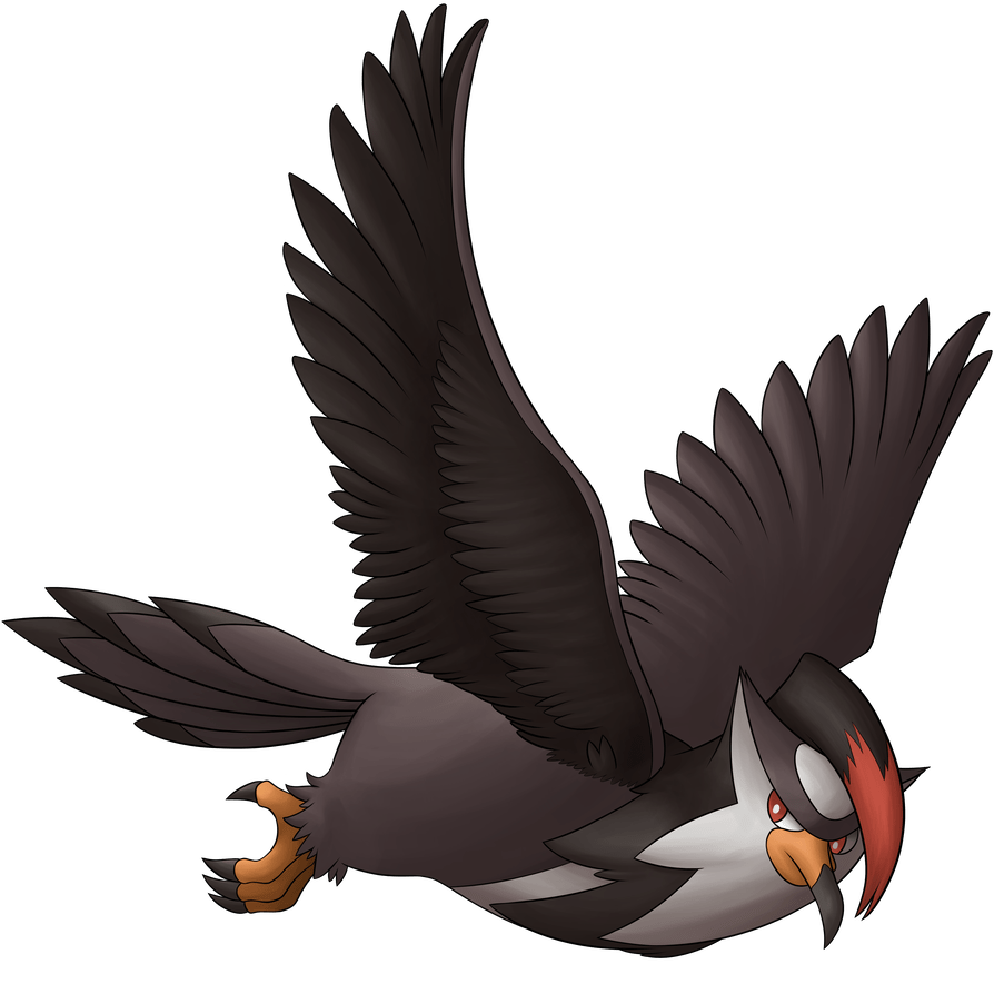 894x894 √ Small Bird Pokemon