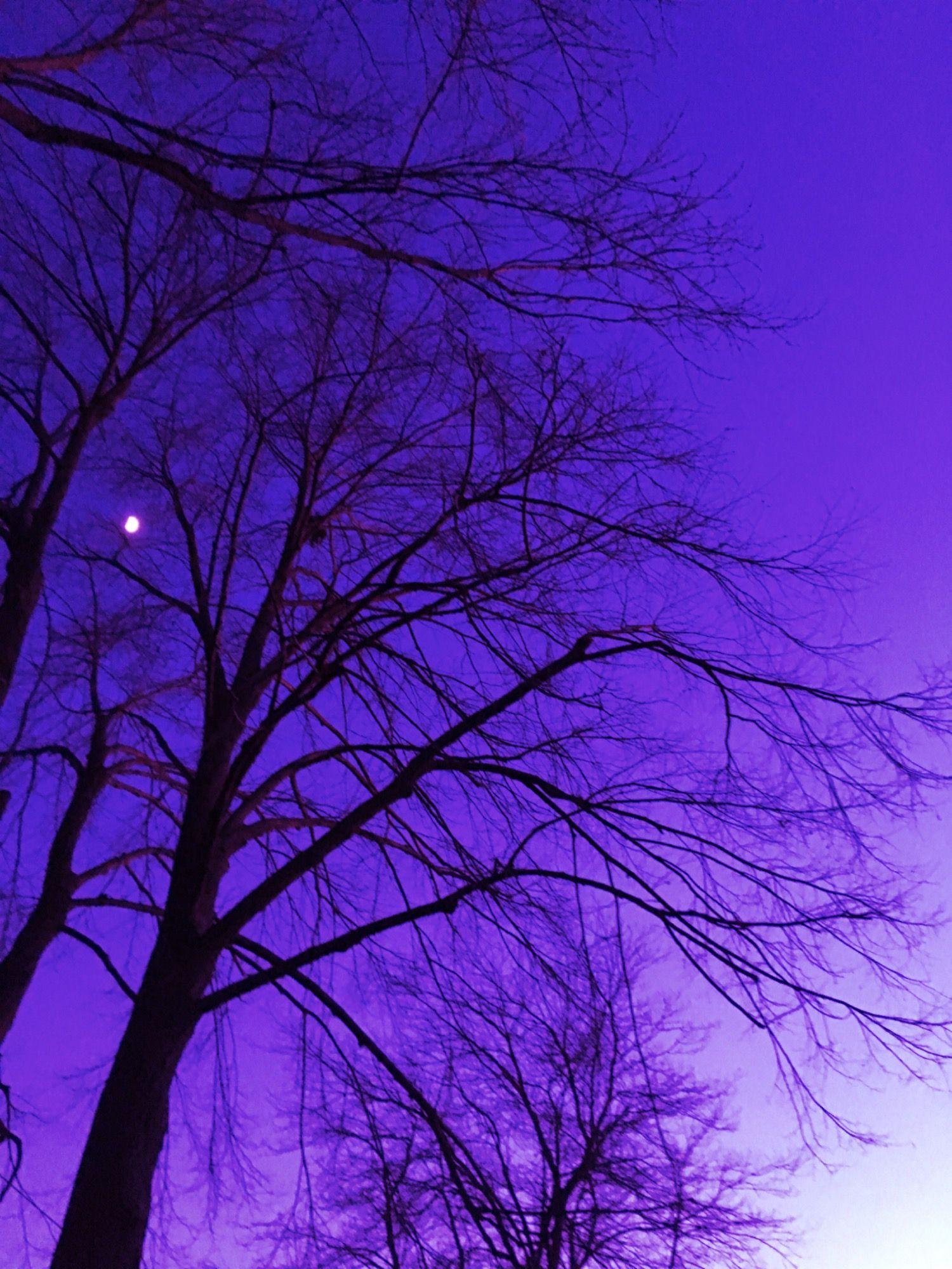 1500x2000 libra #pisces. Purple aesthetic, Violet aesthetic, Purple (2021)