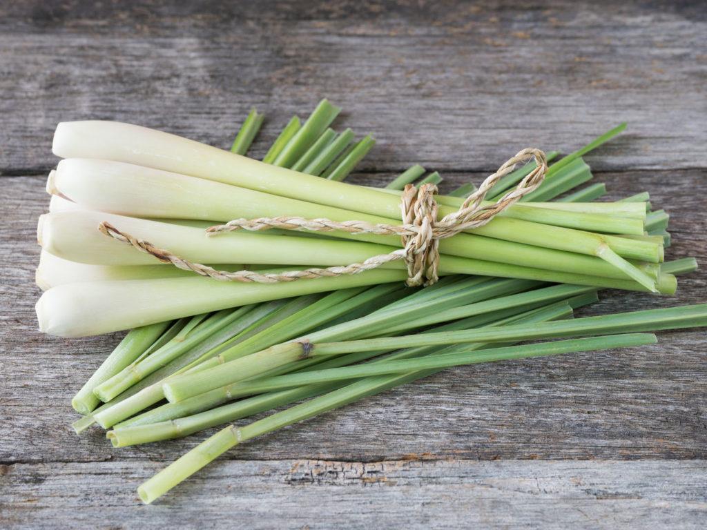 1024x768 Cooking With Spices: Lemongrass. Weil's Healthy Kitchen