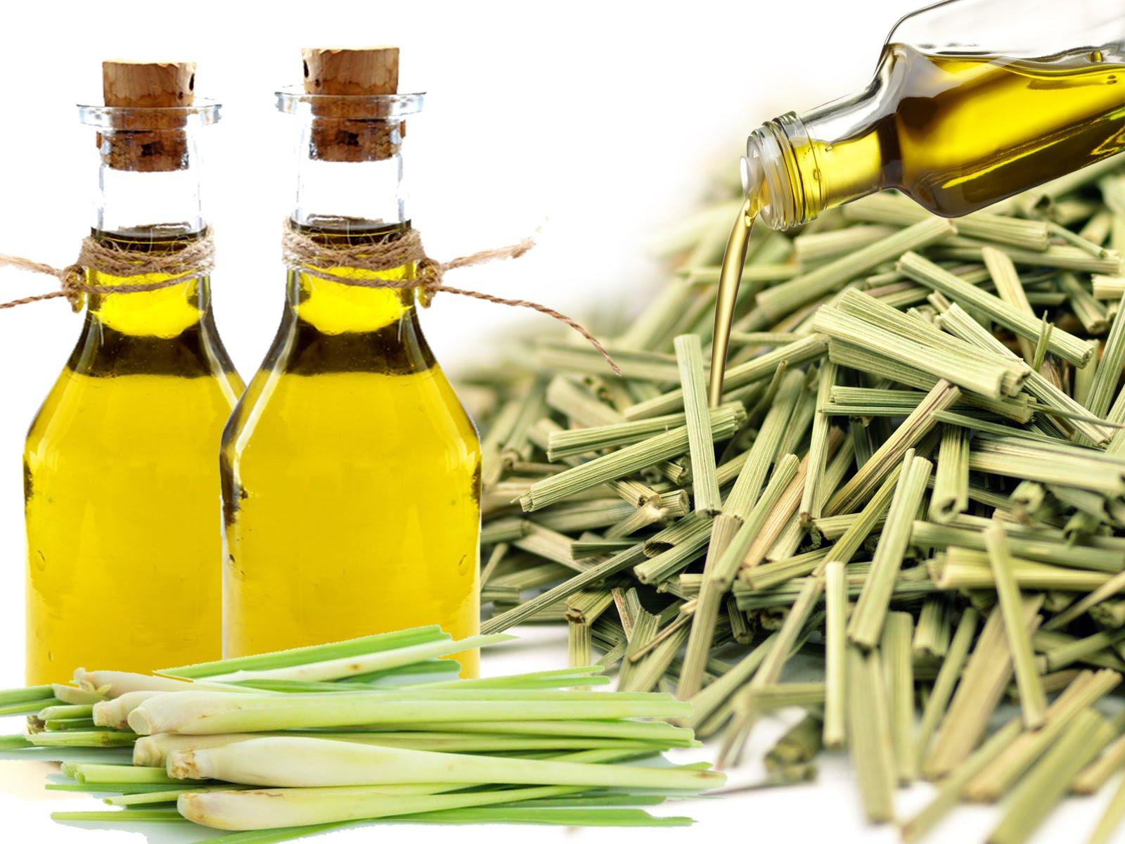 1600x1200 Lemon grass oil