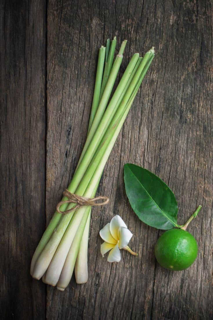 Lemongrass Wallpapers - Top Free Lemongrass Backgrounds - WallpaperAccess