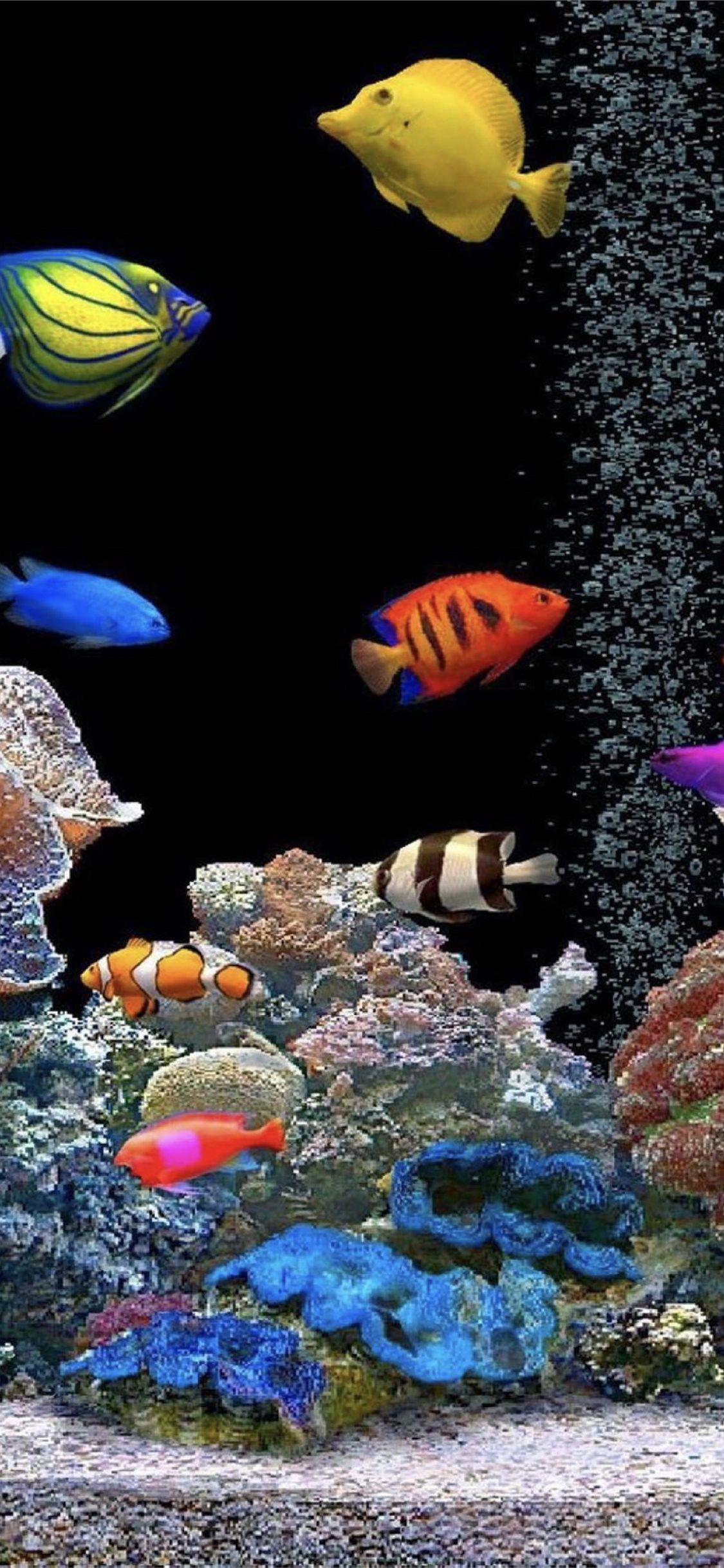 Aquarium iPhone Wallpapers - Top Free Aquarium iPhone Backgrounds -  WallpaperAccess