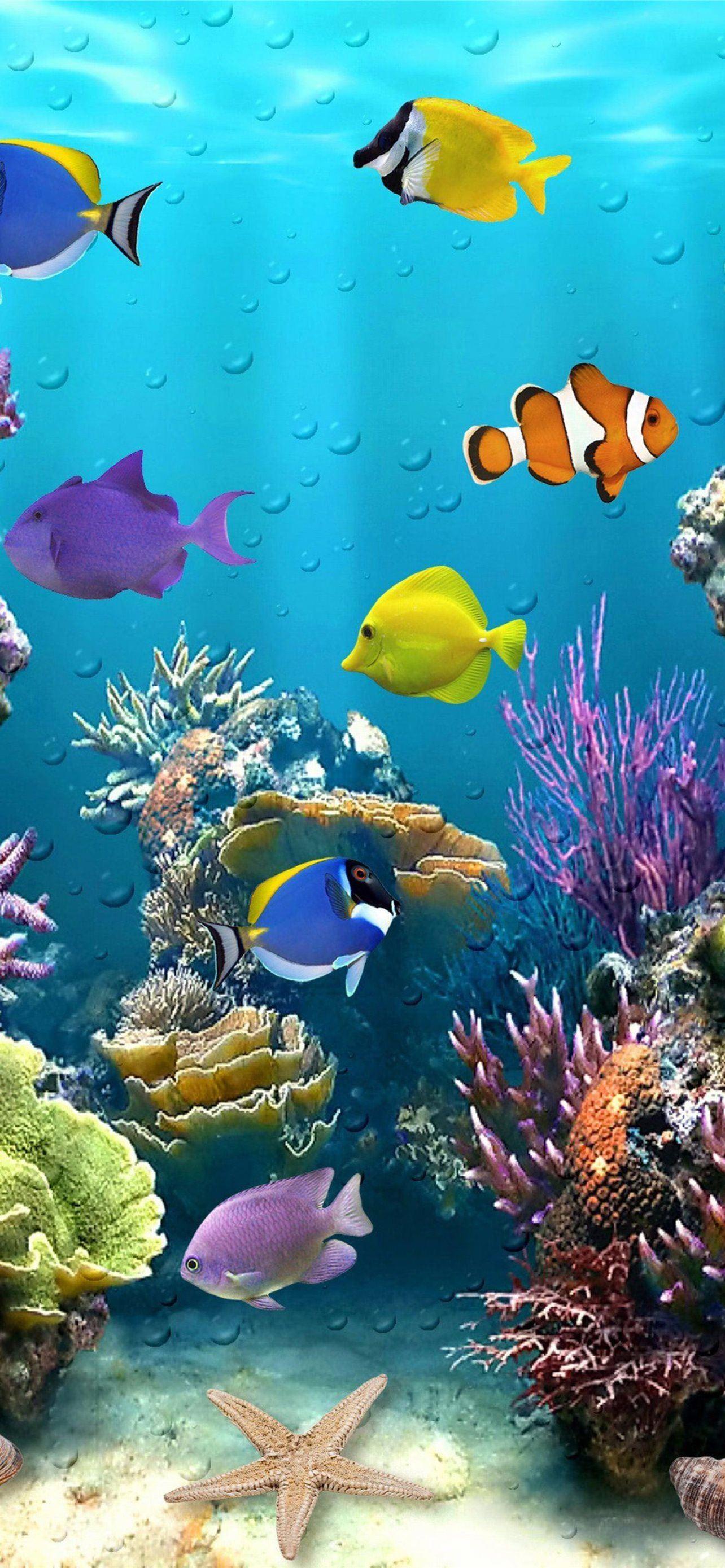 1284x2778 aquarium iPhone Wallpaper Free Download