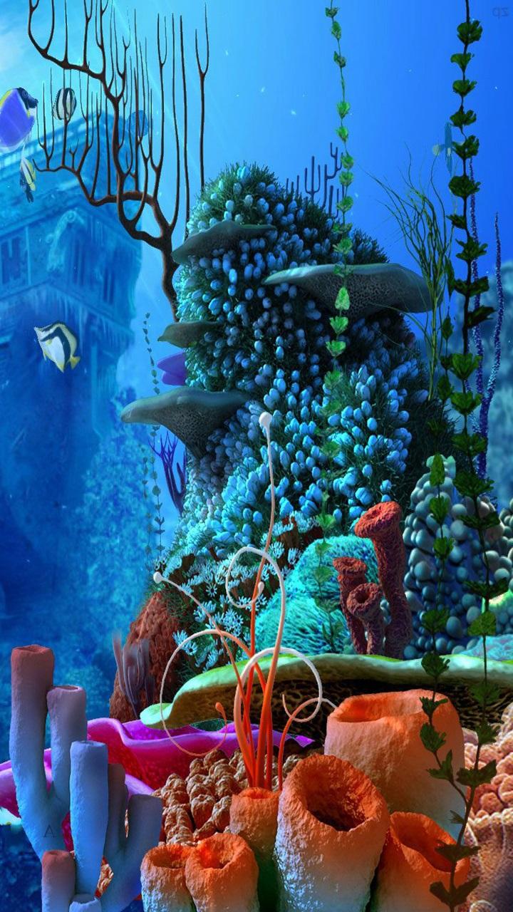 720x1280 Aquarium Wallpaper