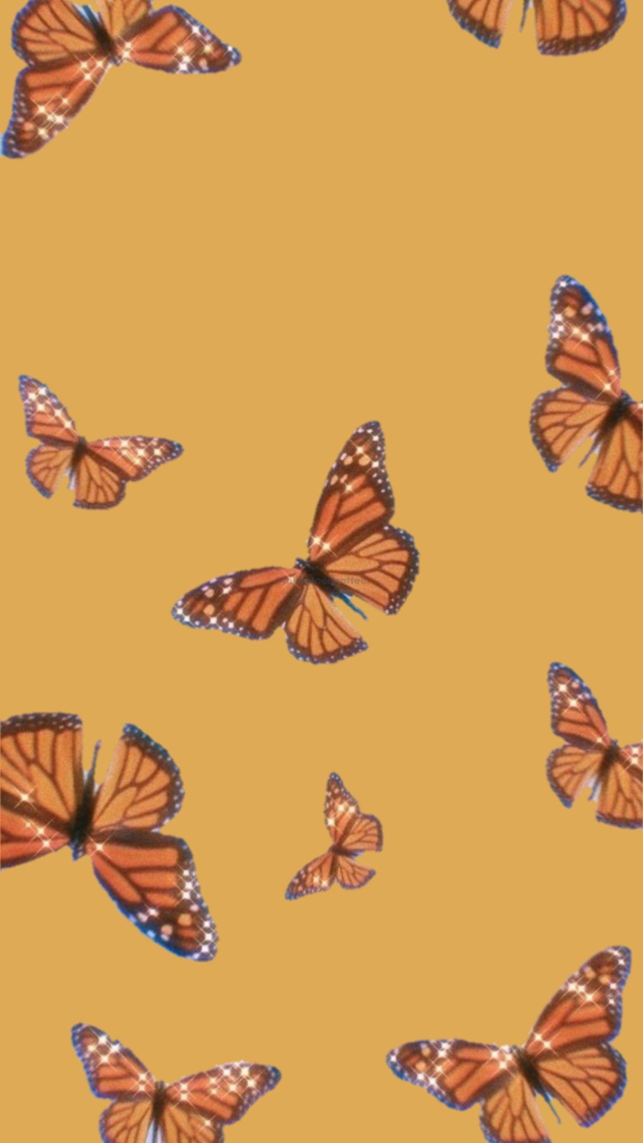Orange Butterfly iPhone Wallpapers Top Free Orange Butterfly iPhone