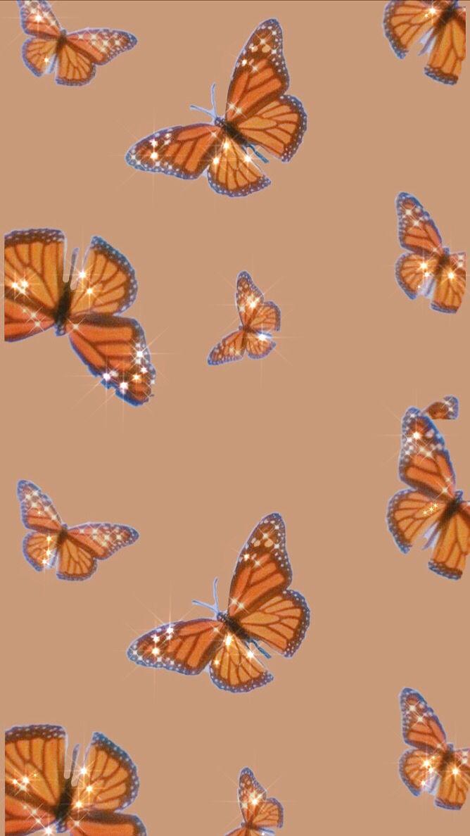 Orange Butterfly iPhone Wallpapers Top Free Orange Butterfly iPhone Backgrounds WallpaperAccess