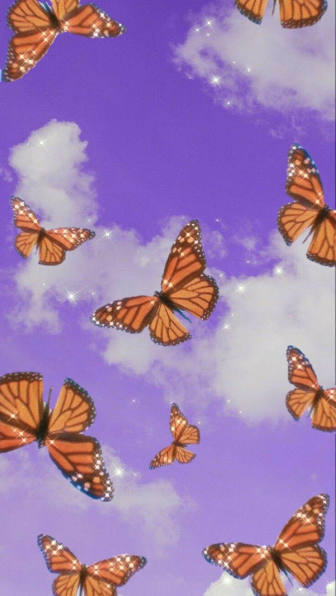 Orange Butterfly iPhone Wallpapers - Top Free Orange Butterfly iPhone ...