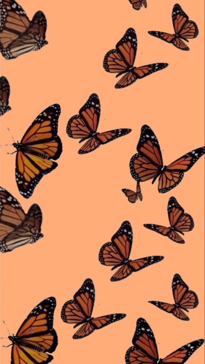 Orange Butterfly iPhone Wallpapers - Top Free Orange Butterfly iPhone ...