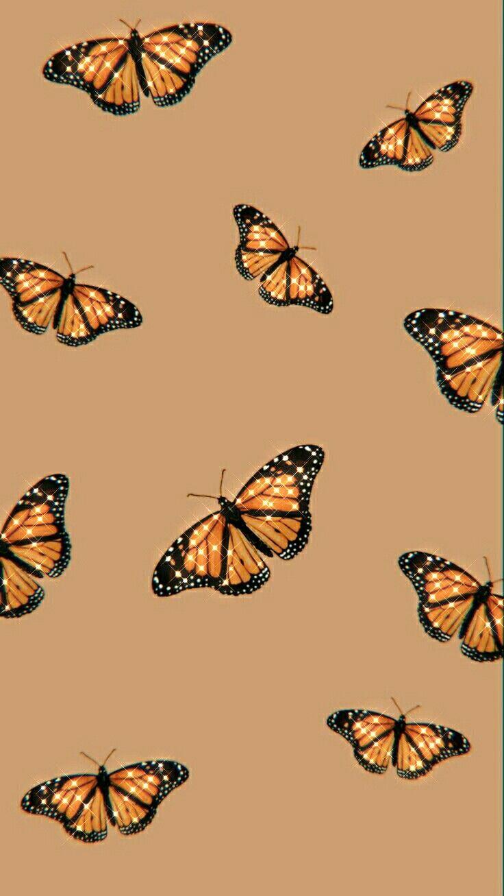 Orange Butterfly iPhone Wallpapers - Top Free Orange Butterfly iPhone ...