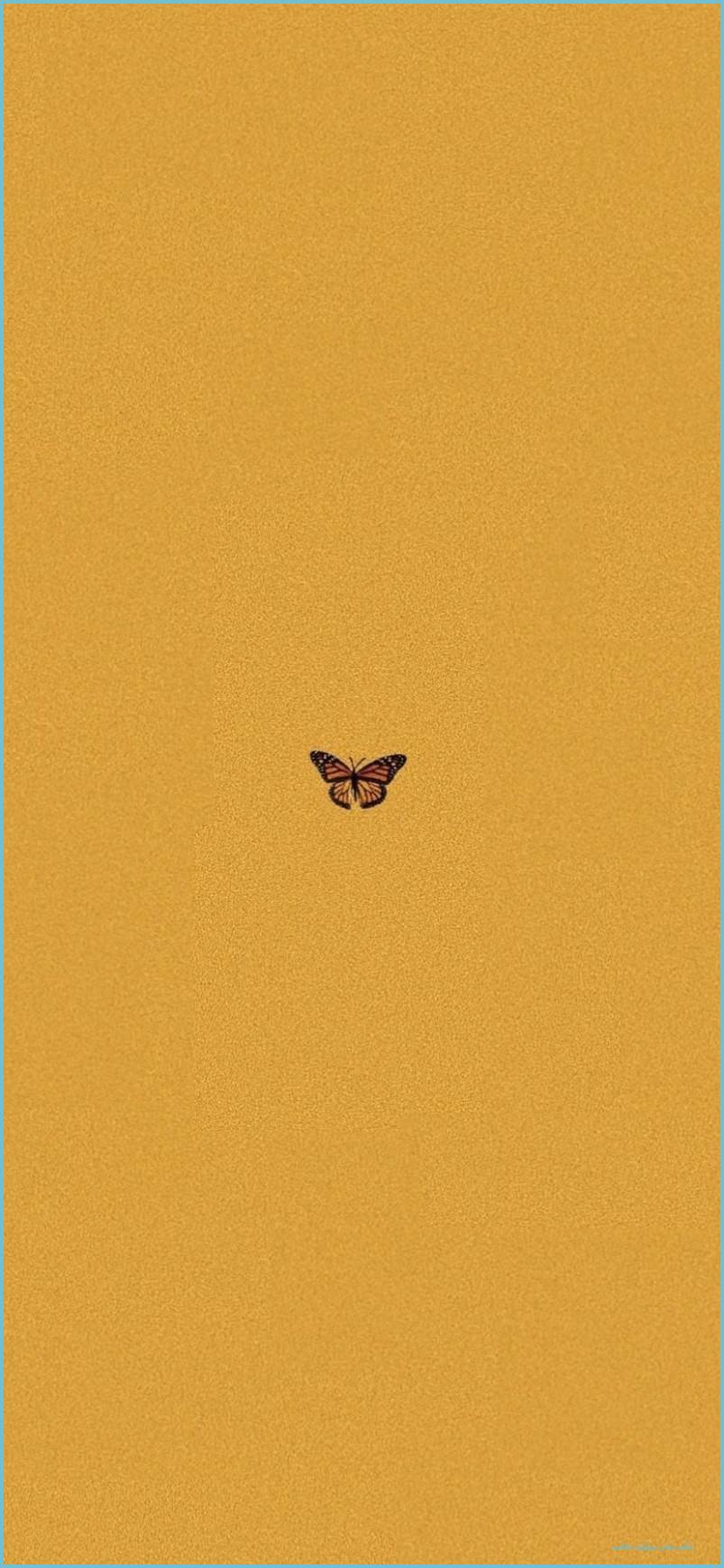 803x1738 Wallpaper, Yellow Aesthetic Butterfly IPhone X iPhone Wallpaper Wallpaper iPhone Yellow