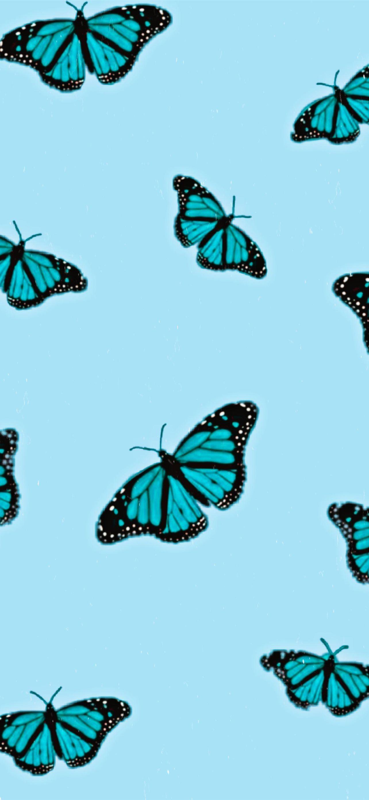 1284x2778 Best Butterfly iPhone HD Wallpaper