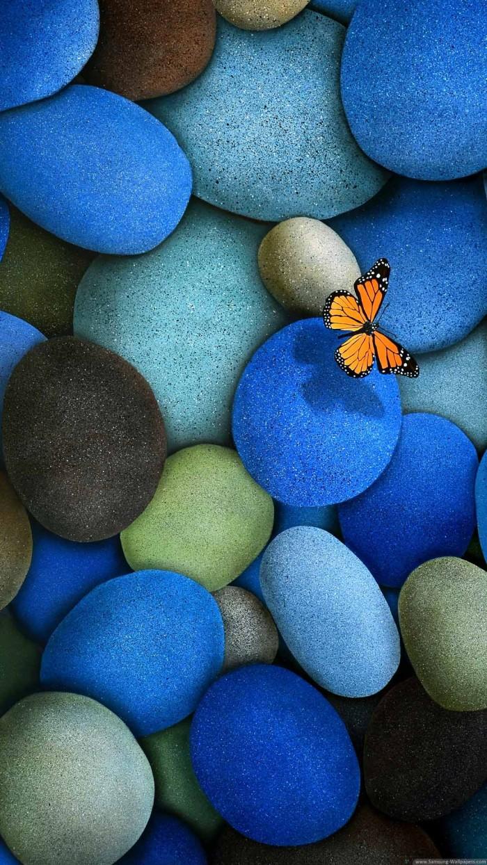 700x1244 Blue Pebbles Orange Butterfly IPhone 6 Plus HD Wallpaper