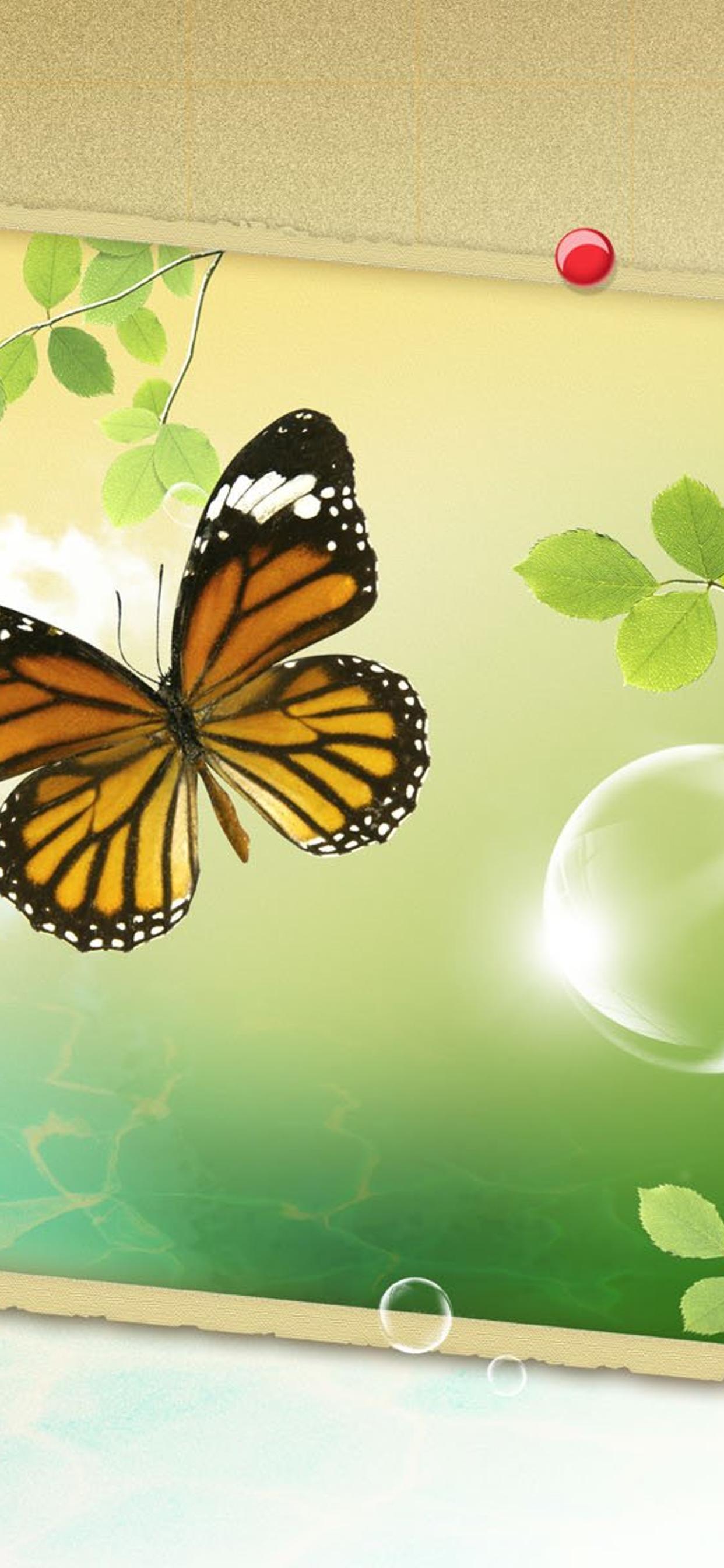 Orange Butterfly iPhone Wallpapers Top Free Orange Butterfly iPhone Backgrounds WallpaperAccess