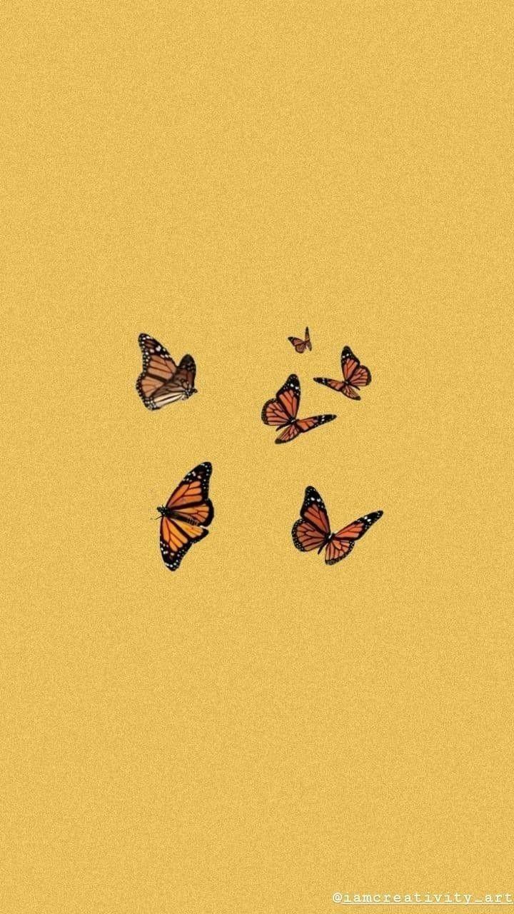 Orange Butterfly iPhone Wallpapers Top Free Orange Butterfly iPhone Backgrounds WallpaperAccess
