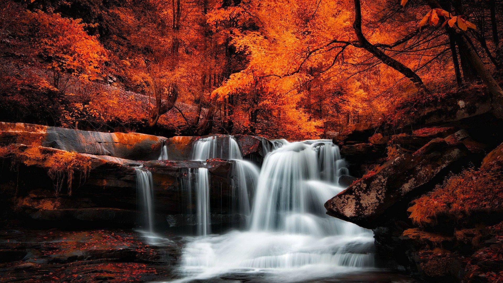 Fall Waterfall Wallpapers - Top Những Hình Ảnh Đẹp