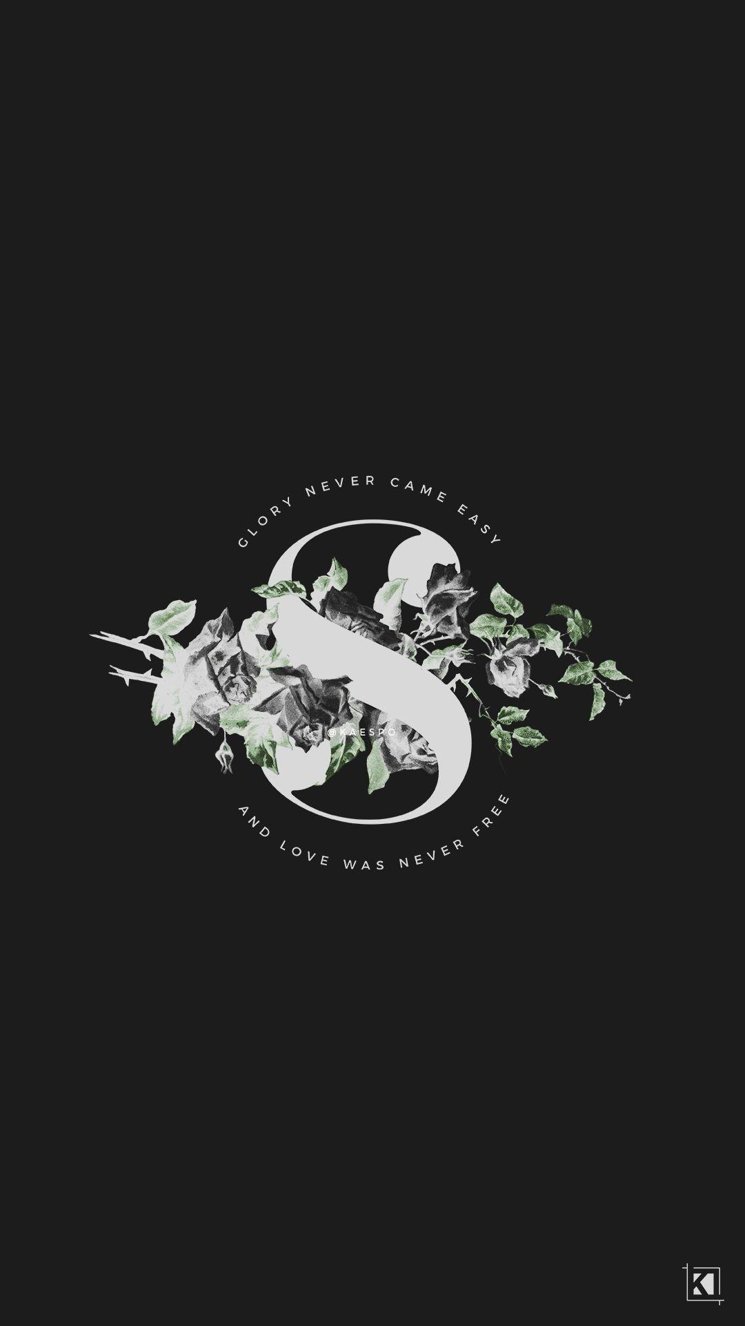 1080x1920 Slytherin iPhone Wallpaper (best Slytherin iPhone Wallpaper and image) on WallpaperChat
