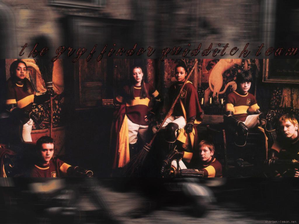 1024x768 Gryffindor Team