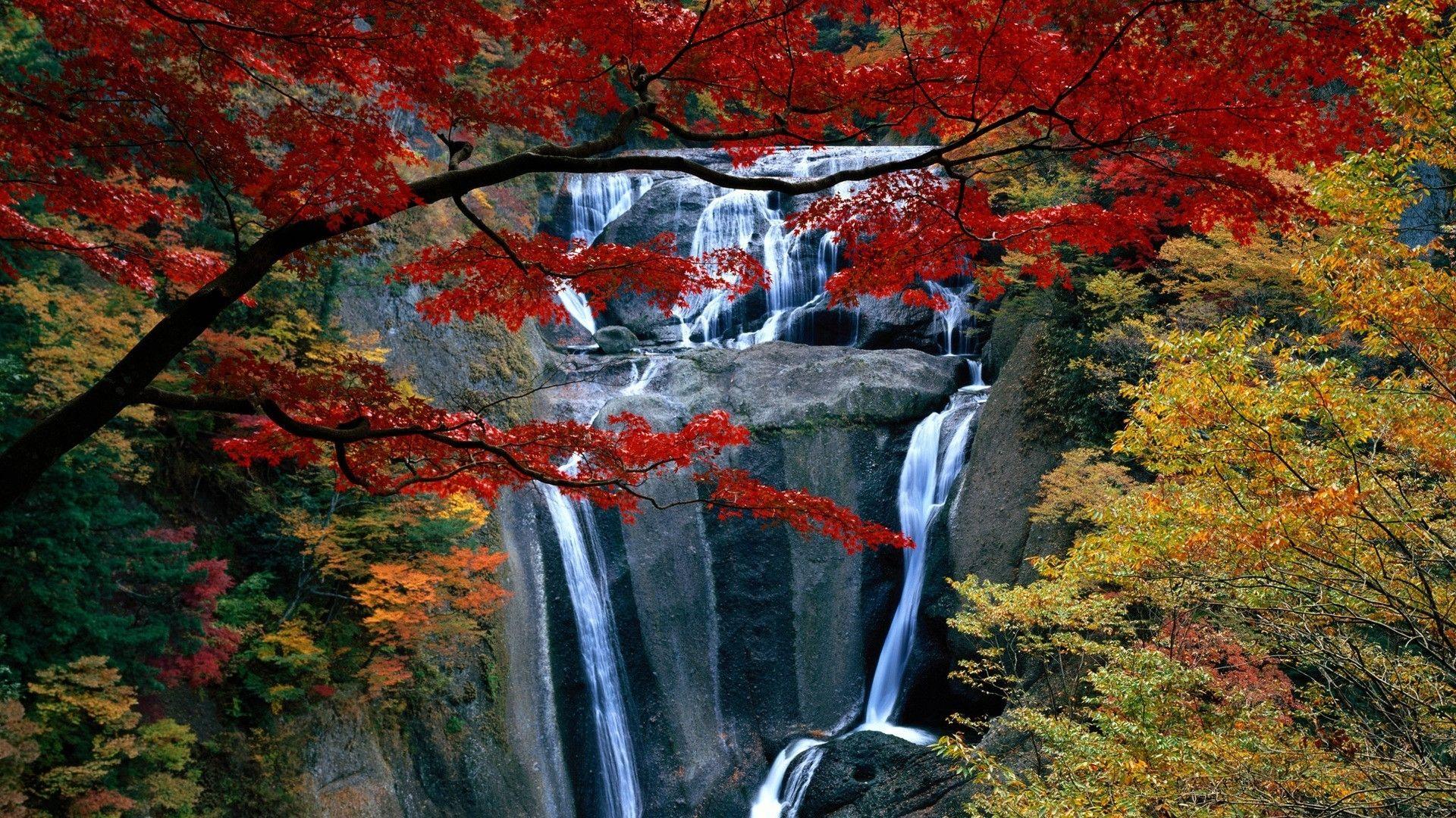 Fall Waterfall Wallpapers Top Free Fall Waterfall Backgrounds