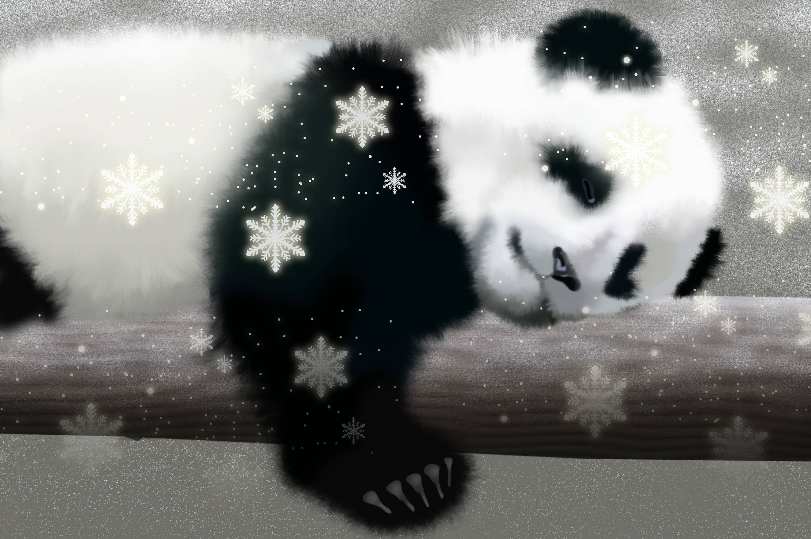 2800x1863 Portrait Cute Panda Wallpaper HD