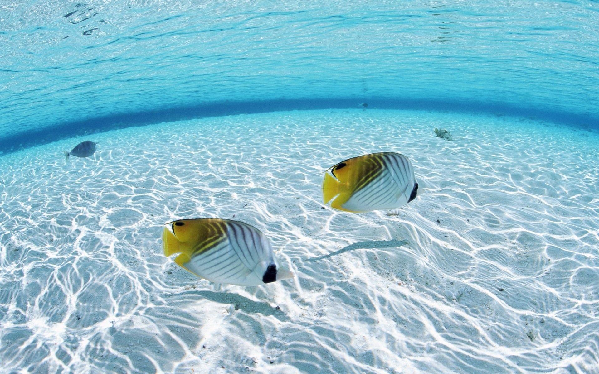 1920x1200 Under Ocean Wallpaper