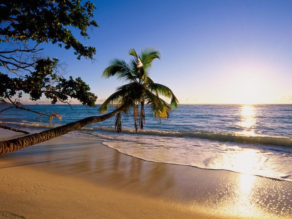1024x768 Beautiful Beach Wallpaper