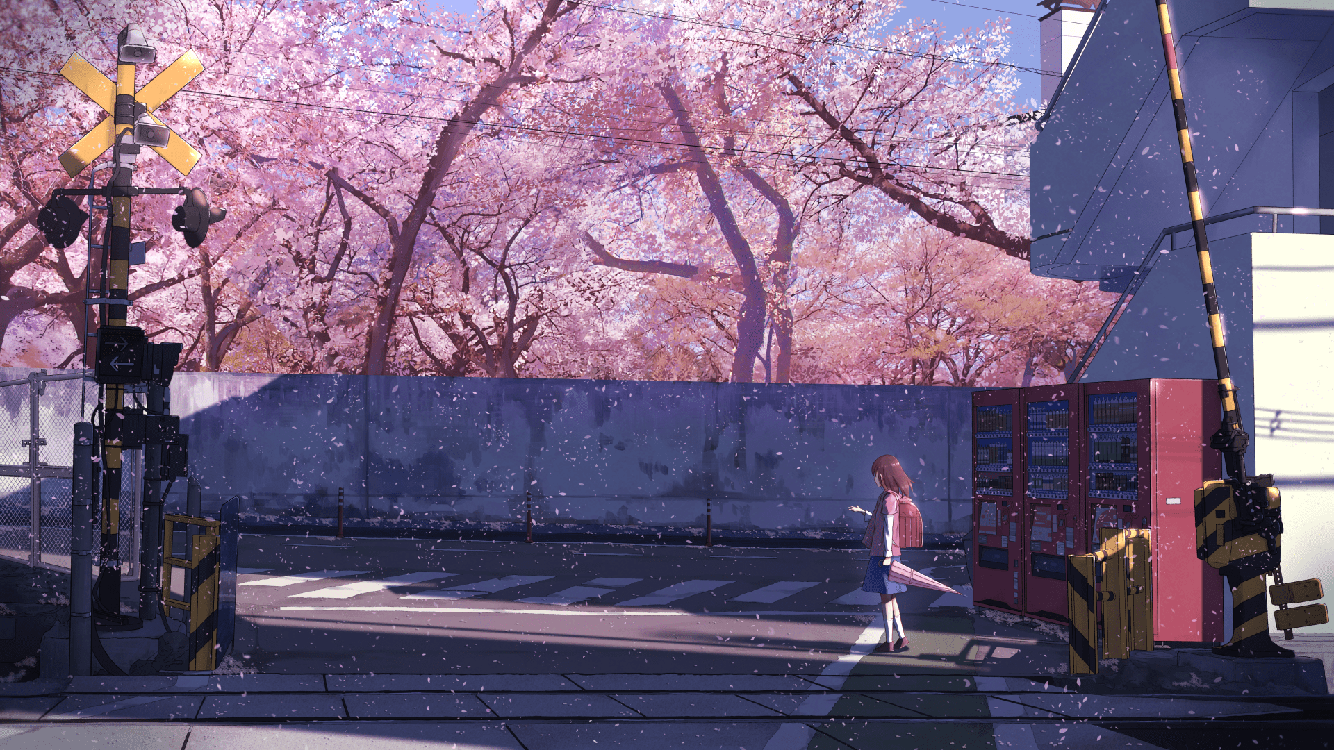 Anime Spring Scenery Wallpapers - Top Free Anime Spring Scenery
