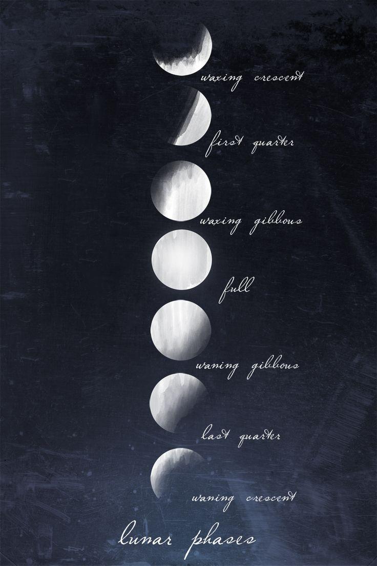 736x1104 Moon Phases Wallpaper