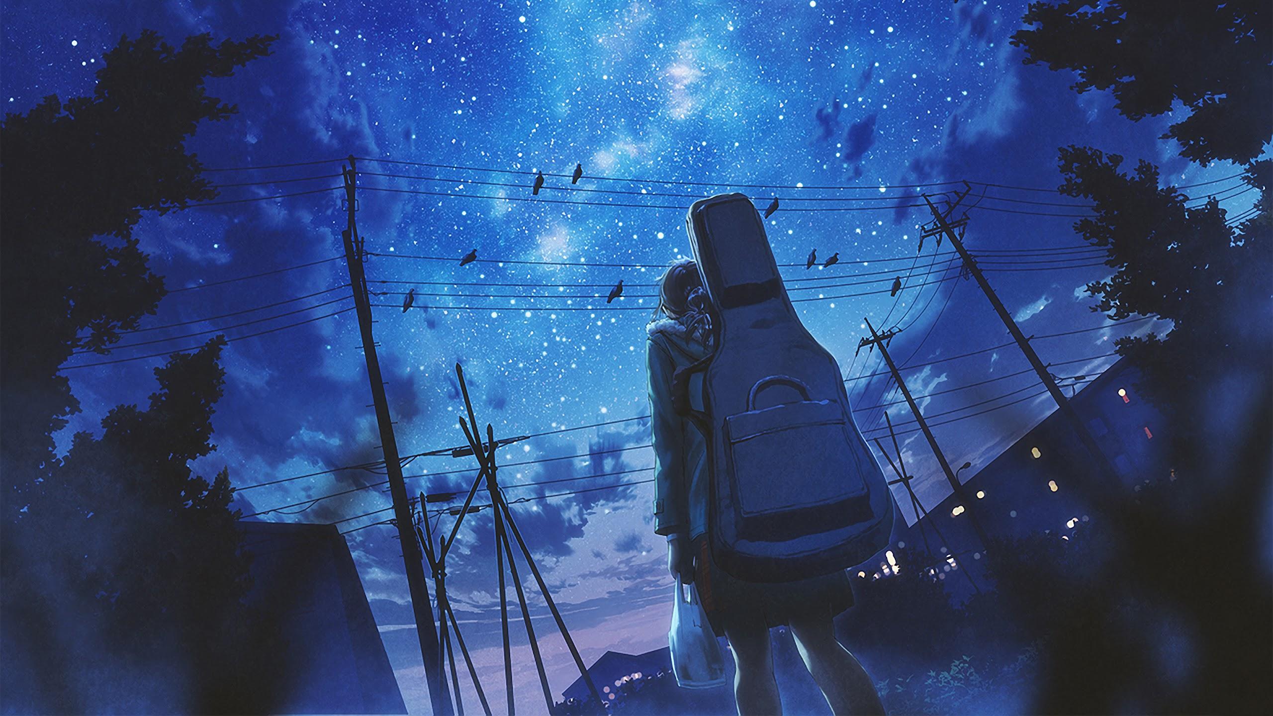 2560x1440 Anime Night Sky Wallpaper 4k