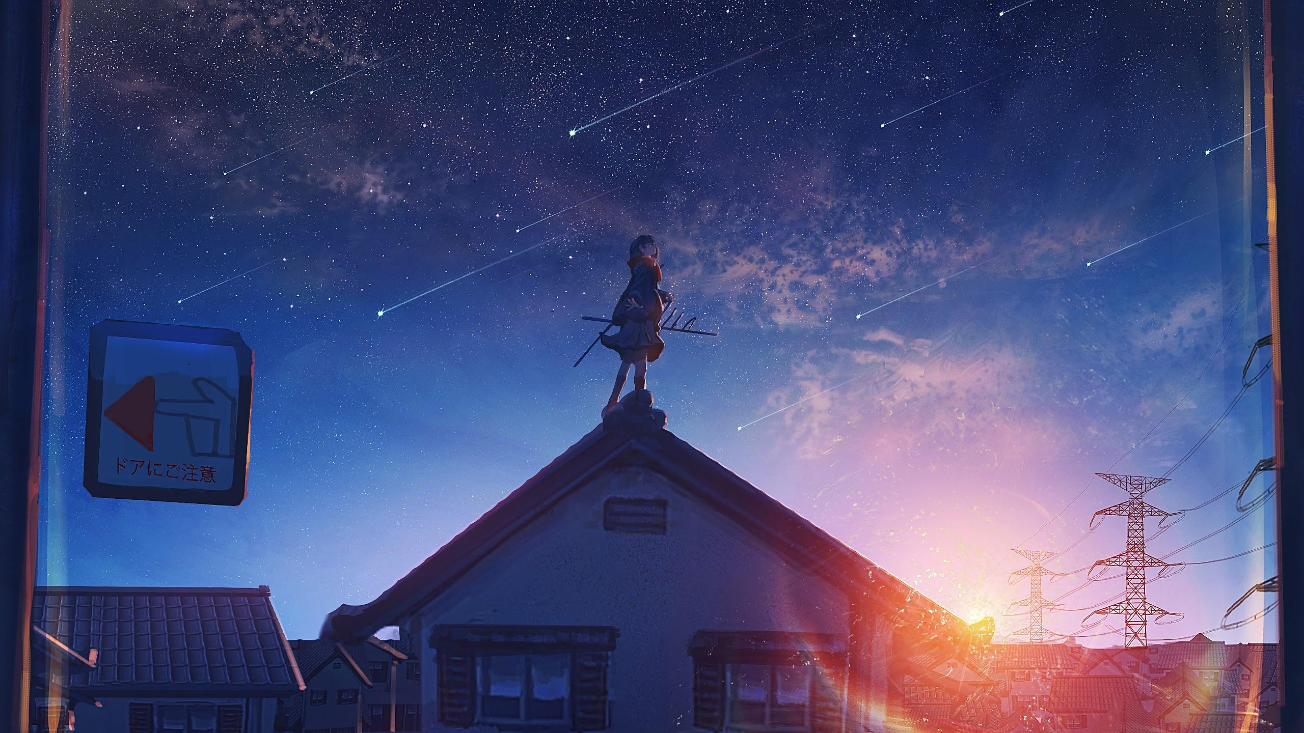 2560x1440 Anime, Sunrise, Comet, Stars, 4k, HD Wallpaper
