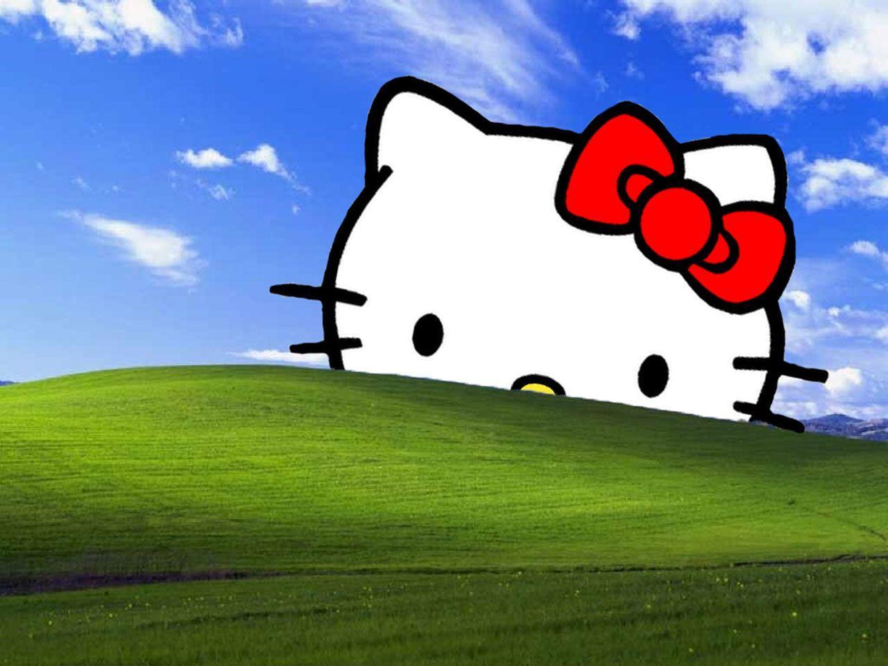 875 Hello Kitty Wallpaper 4k Photos  Images New 2023  485 Mood off  DP Images Photos Pics Download 2023