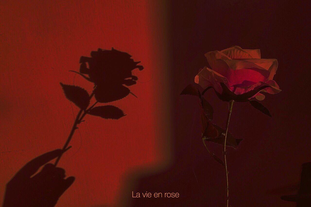 1280x853 flower child. Red aesthetic, Red aesthetic grunge, Aesthetic grunge