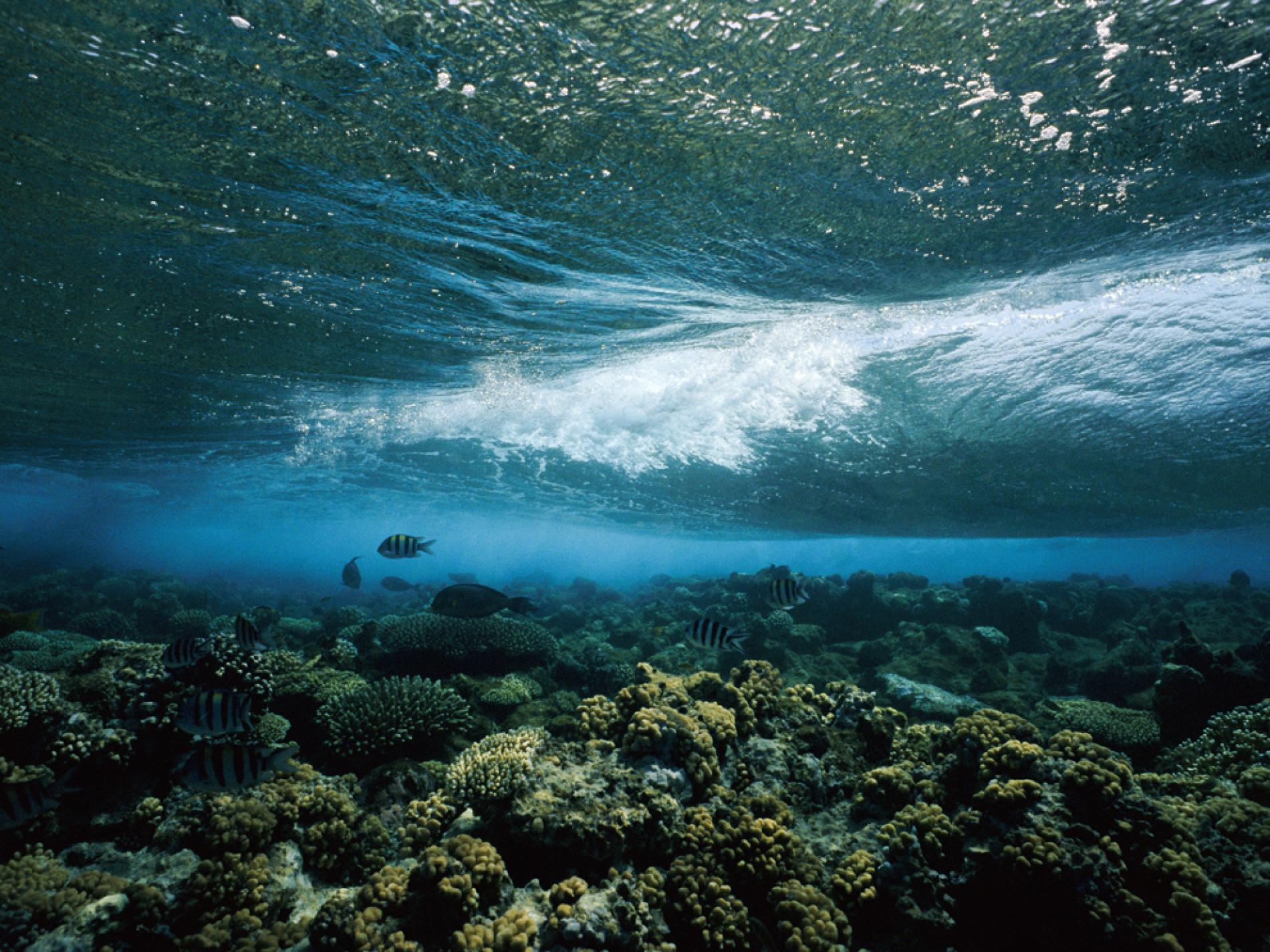 1900x1425 Underwater Ocean Wallpaper