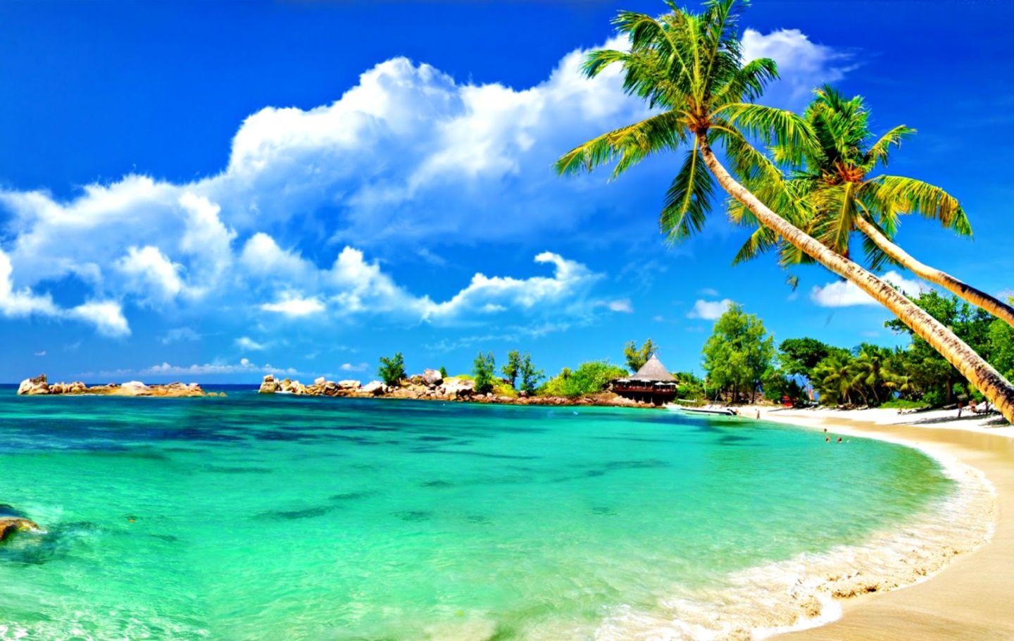 1440x910 Beautiful Sea Wallpaper Background Picture Desktop