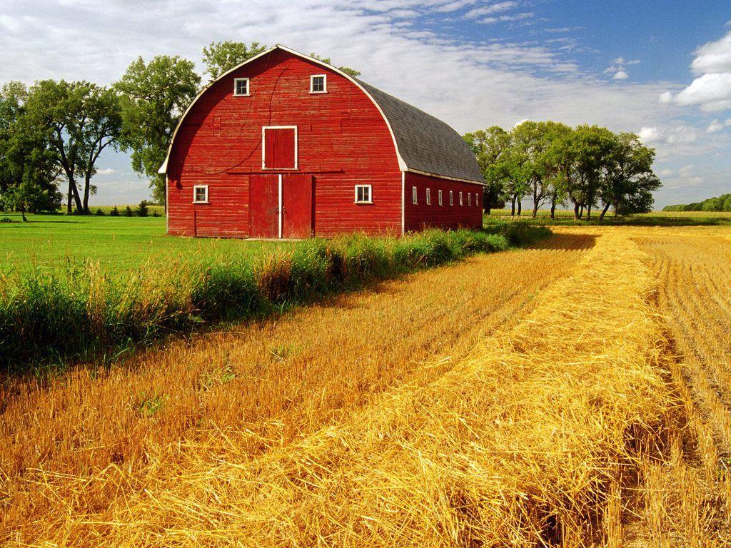 1024x768 Red Country Wallpaper