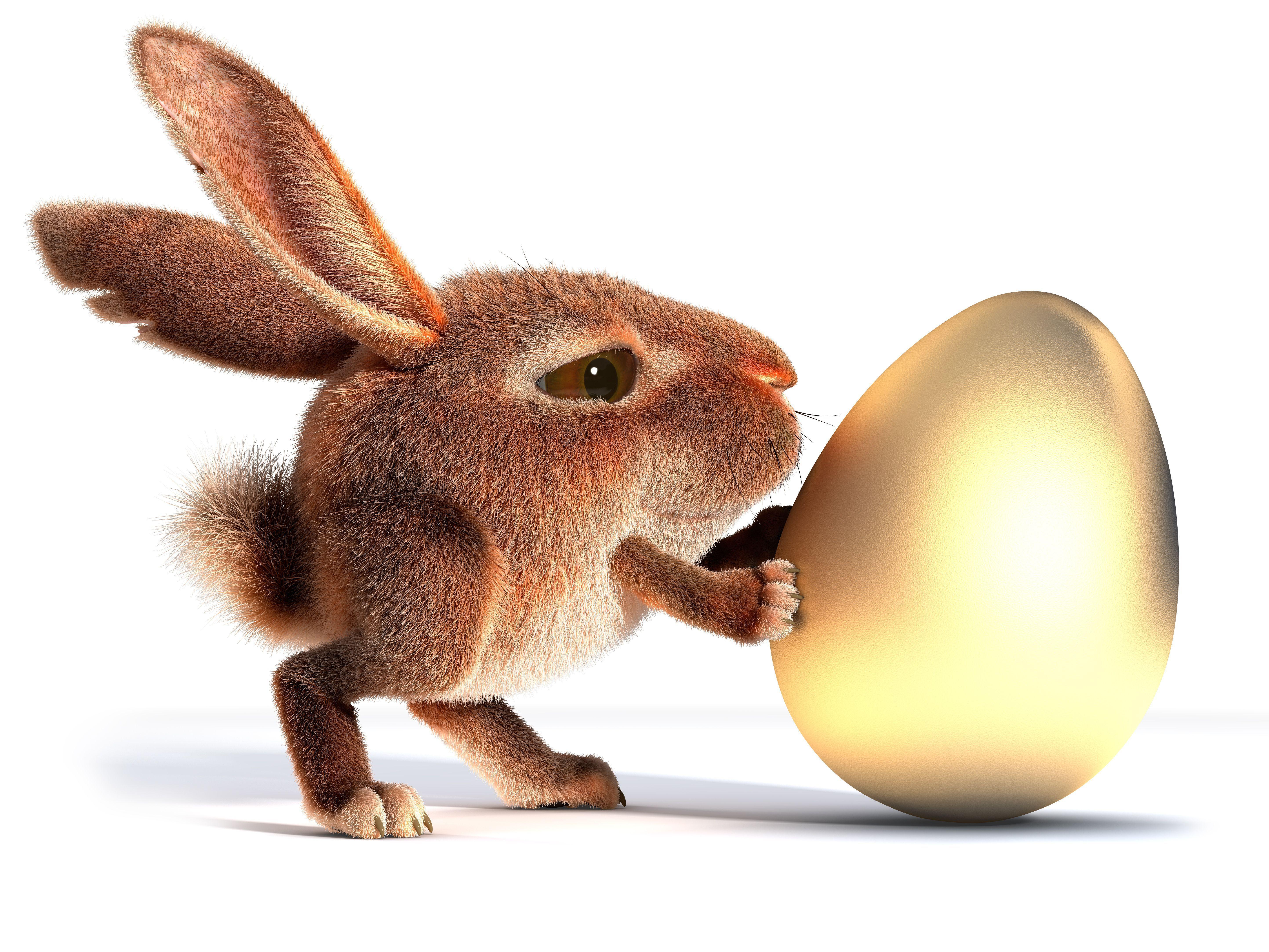 5774x4331 Funny Rabbits Wallpaper