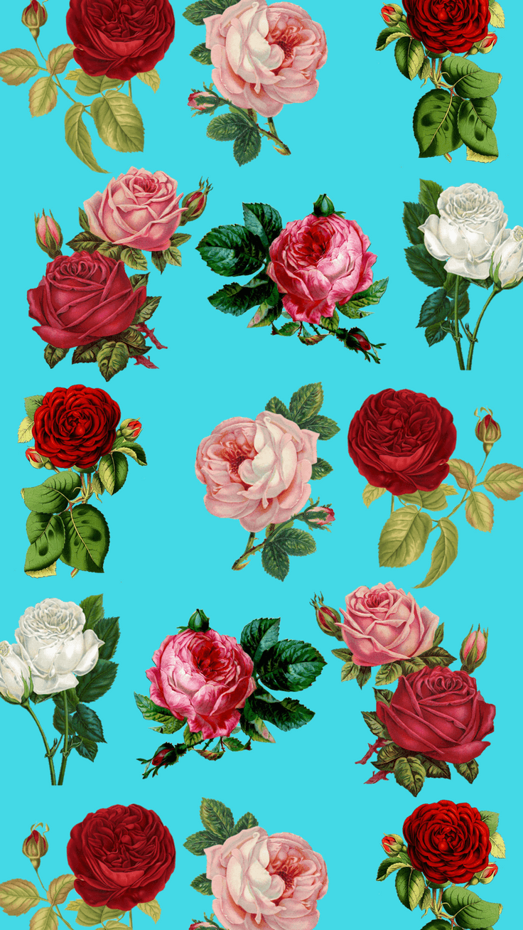 736x1308 Pretty Floral iPhone 8 & 8 Plus HD Wallpaper