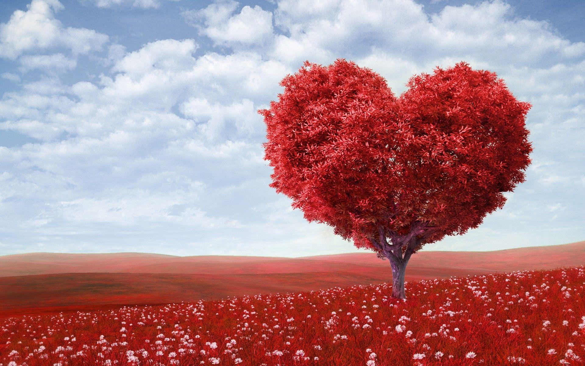 1920x1200 Beautiful Love Wallpaper For Desktop
