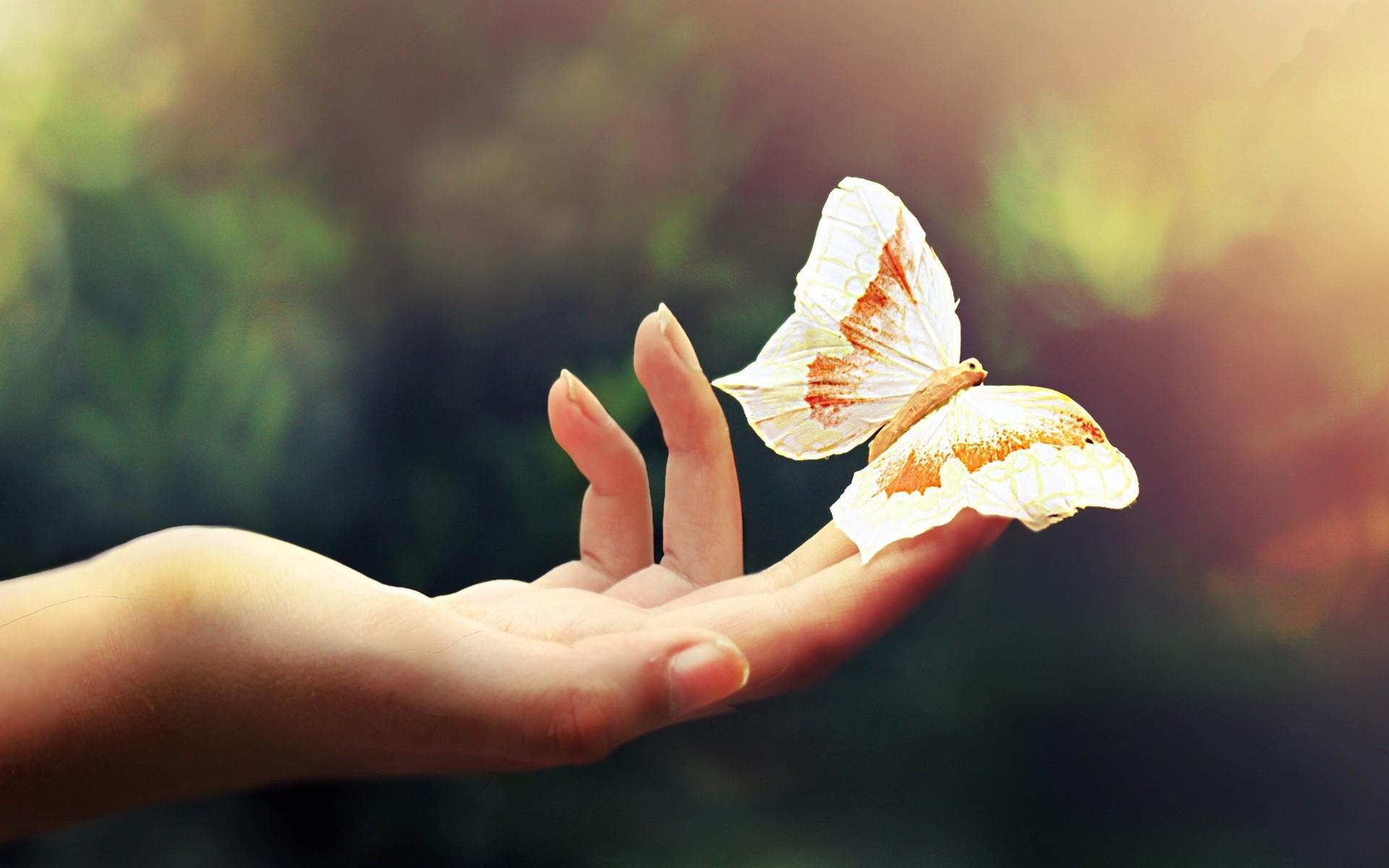 1920x1200 Cute Desktop Wallpaper background picture