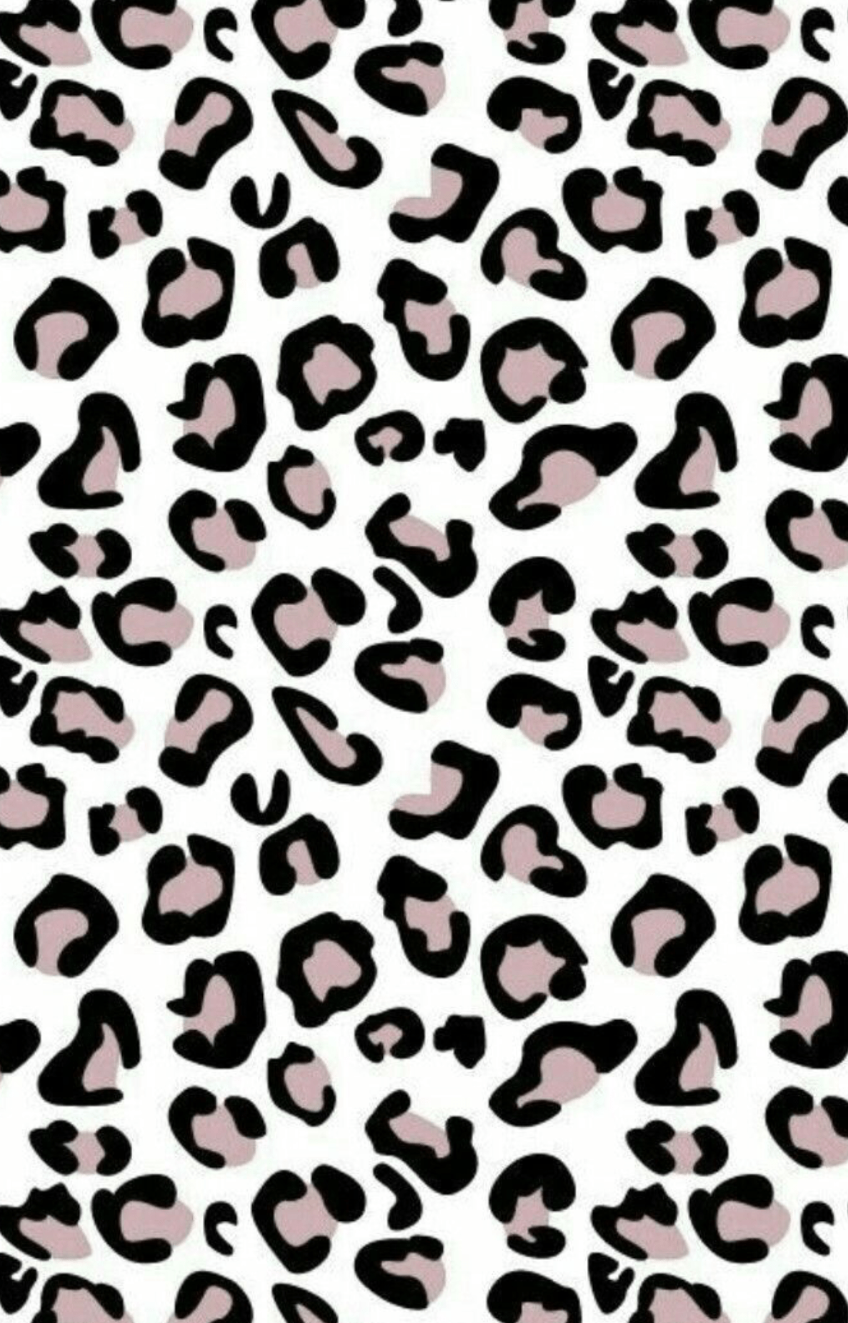 Cute Leopard Print Wallpapers - Top Free Cute Leopard Print Backgrounds -  WallpaperAccess