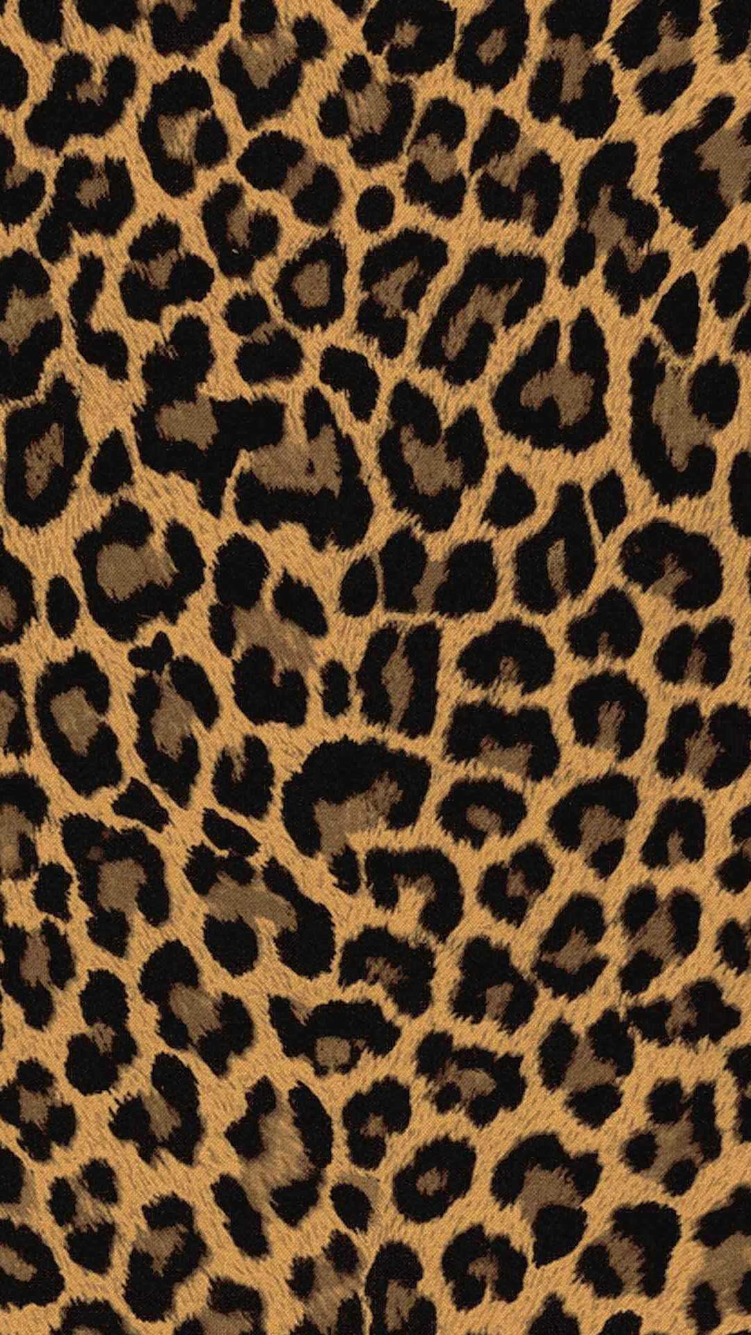 Leopard Print iPhone Wallpapers - Top Free Leopard Print iPhone Backgrounds  - WallpaperAccess