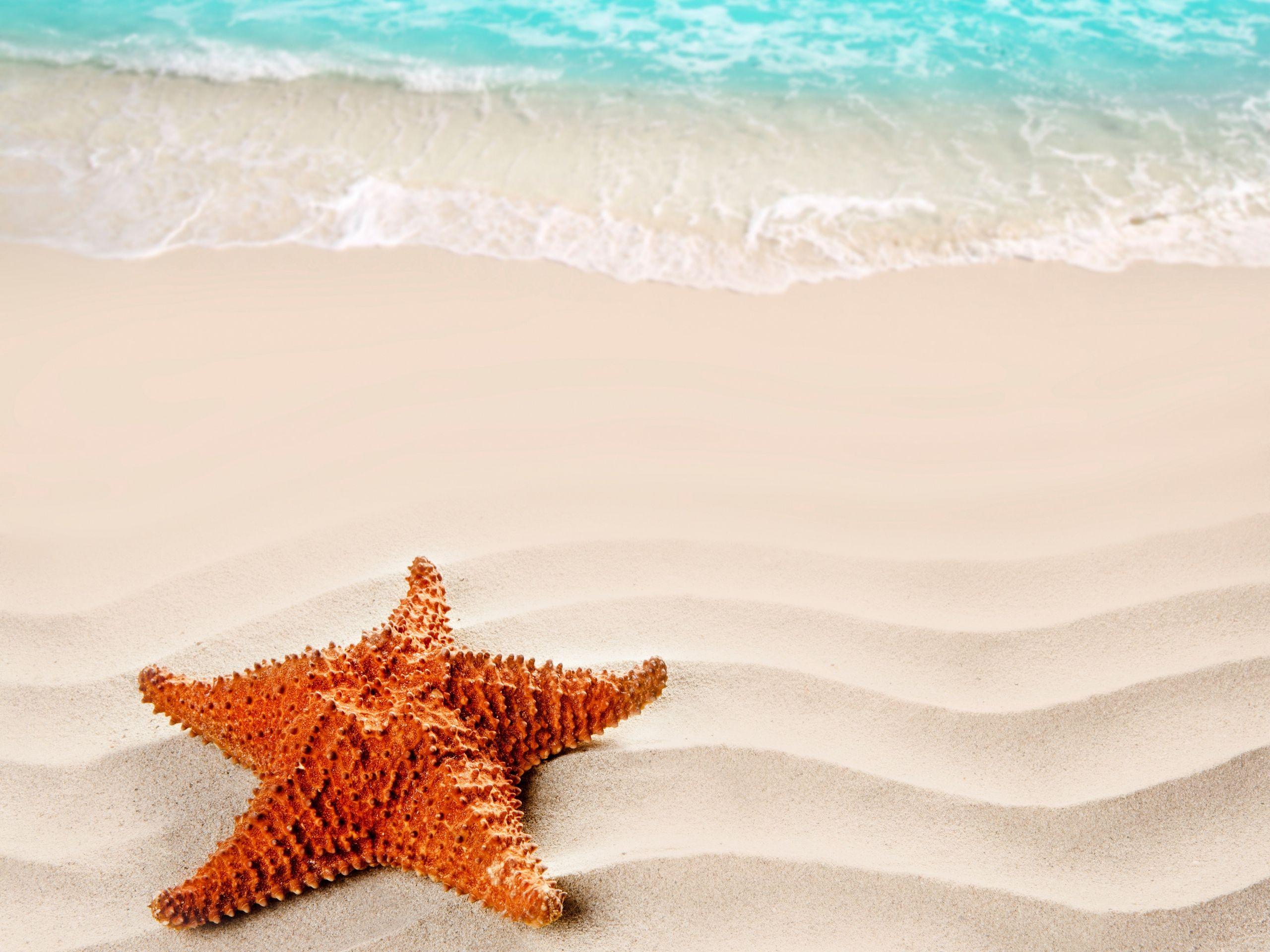 2560x1920 Fondos de pantalla. Ocean wallpaper, Summer time beach, Water picture